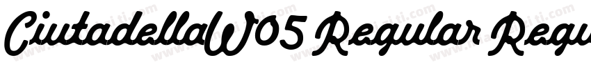 CiutadellaW05 Regular Regular字体转换